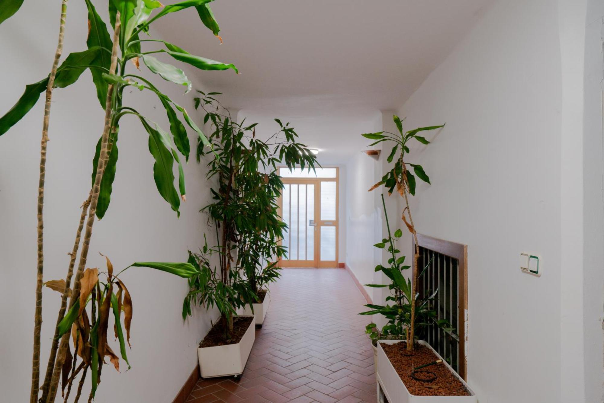 Bessemer - Charming Cottage With Garden Wenen Buitenkant foto